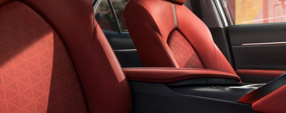 Luxurious Comfort Redefined